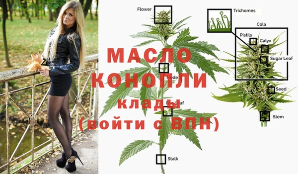 амф Надым