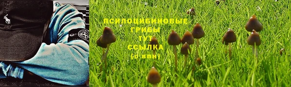 стаф Навашино