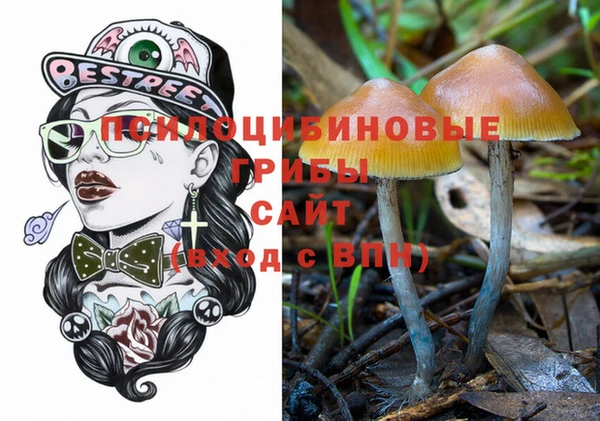 крисы Наволоки