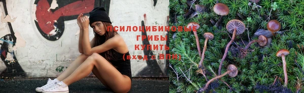 крисы Наволоки