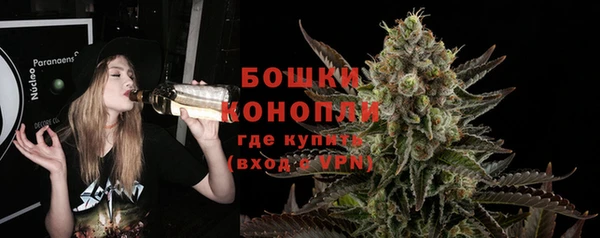 амф Надым