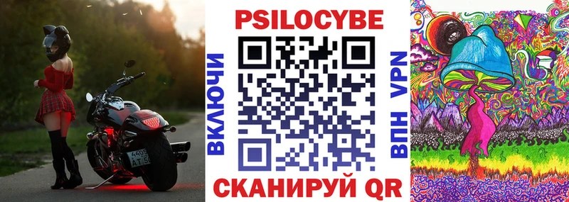 что такое наркотик  Сальск  Псилоцибиновые грибы Psilocybine cubensis 